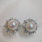 White Gold Plated Sterling Silver Freshwater Edison Pearl Earrings with Chalcedony, ER41