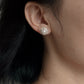 Yellow Gold Plated Sterling Silver Freshwater Pearl Earrings with Mother of Pearl, ER50