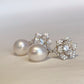 White Gold Plated Sterling Silver Freshwater Pearl Earrings, ER48