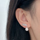 White Gold Plated Sterling Silver Freshwater Pearl Earrings, ER70