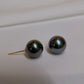 Tahitian Black Pearl Stud Earrings in 18k Yellow Gold