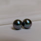 Tahitian Black Pearl Stud Earrings in 18k Yellow Gold